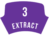 SYSTEMology_Extract_Step3 SYSTEMology_Extract_Step3